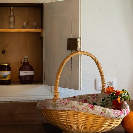 Holiday home Cherry House: Cozy Castle-view Retreat For Bear Watching *