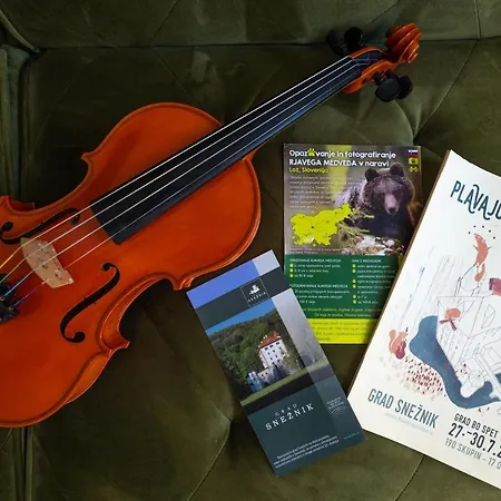 Σπίτι διακοπών Cherry House - Cosy House - Ideal For Bear Watching, In The Neighborhood Of The Medieval Sneznik Castle Stari Trg pri Lozu