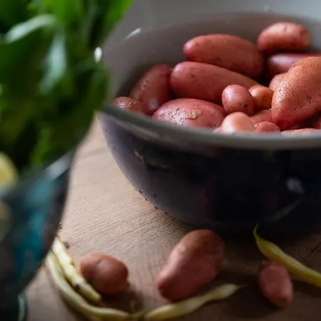 Cherry House - Cosy House - Ideal For Bear Watching, In The Neighborhood Of The Medieval Sneznik Castle *