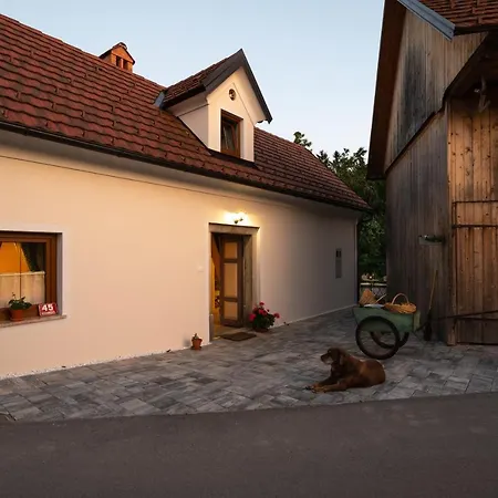 Semesterbostad Cherry House - Cosy House - Ideal For Bear Watching, In The Neighborhood Of The Medieval Sneznik Castle