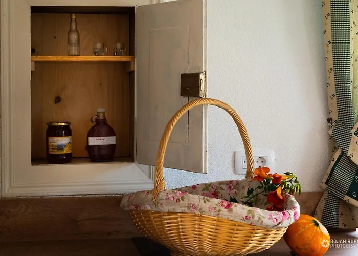 Vakantiehuis Cherry House - Cosy House - Ideal For Bear Watching, In The Neighborhood Of The Medieval Sneznik Castle *