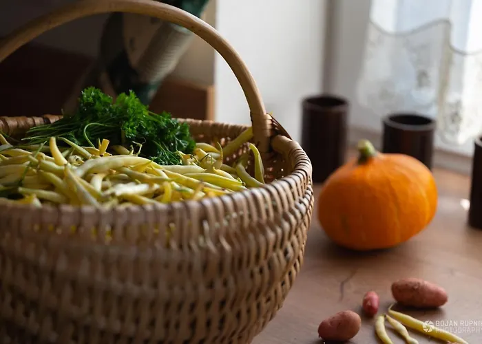 Cherry House - Cosy House - Ideal For Bear Watching, In The Neighborhood Of The Medieval Sneznik Castle *