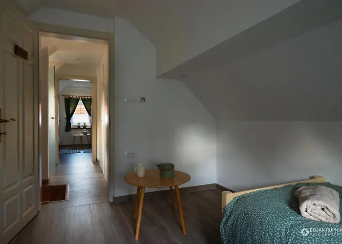 Vakantiehuis Cherry House - Cosy House - Ideal For Bear Watching, In The Neighborhood Of The Medieval Sneznik Castle Stari Trg pri Lozu