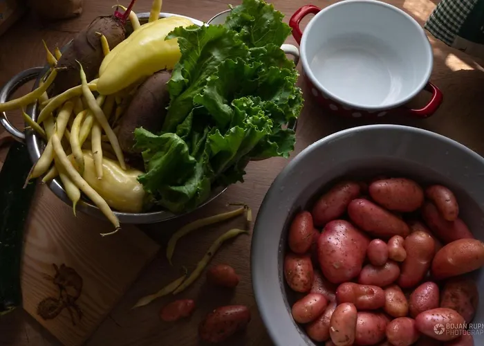 Vakantiehuis Cherry House - Cosy House - Ideal For Bear Watching, In The Neighborhood Of The Medieval Sneznik Castle