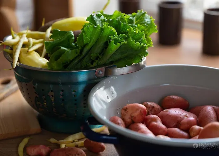 Сasa de vacaciones Cherry House - Cosy House - Ideal For Bear Watching, In The Neighborhood Of The Medieval Sneznik Castle Stari Trg pri Lozu