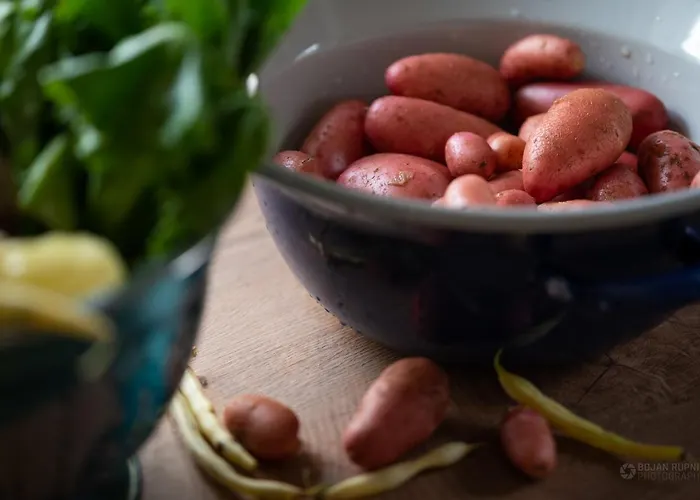 Cherry House - Cosy House - Ideal For Bear Watching, In The Neighborhood Of The Medieval Sneznik Castle *