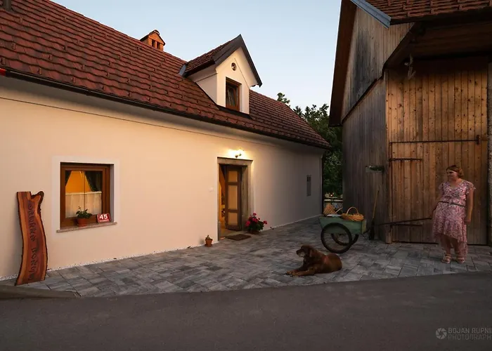 Vakantiehuis Cherry House - Cosy House - Ideal For Bear Watching, In The Neighborhood Of The Medieval Sneznik Castle